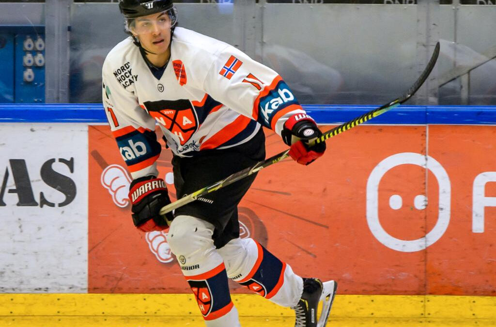 Second Skien IHK vet signs with Cobras