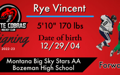 Local product Rye Vincent signs with Cobras